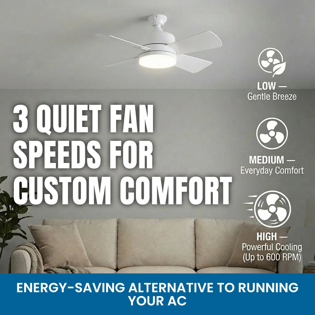 Remote Controlled Socket Ceiling Fan & Light