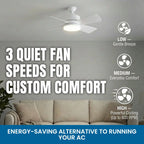 Remote Controlled Socket Ceiling Fan & Light