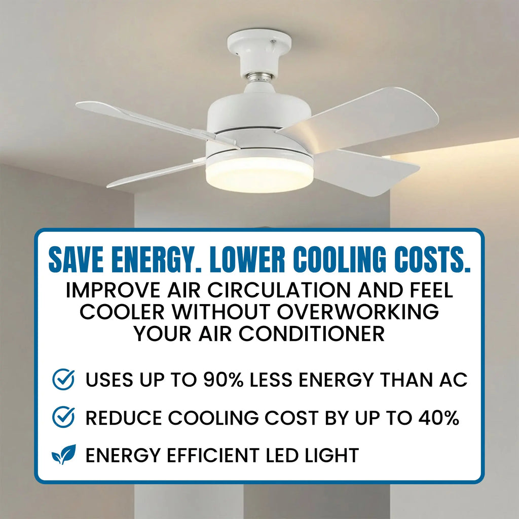 Remote Controlled Socket Ceiling Fan & Light