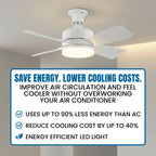 Remote Controlled Socket Ceiling Fan & Light