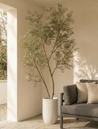 Faux Ruscus Tree (Indoor or Outdoor) 185cm / 6ft 1in