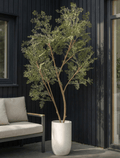 Faux Ruscus Tree (Indoor or Outdoor) 185cm / 6ft 1in