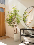 Faux Ruscus Tree (Indoor or Outdoor) 185cm / 6ft 1in