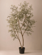 Faux Ruscus Tree (Indoor or Outdoor) 185cm / 6ft 1in
