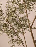 Faux Ruscus Tree (Indoor or Outdoor) 185cm / 6ft 1in