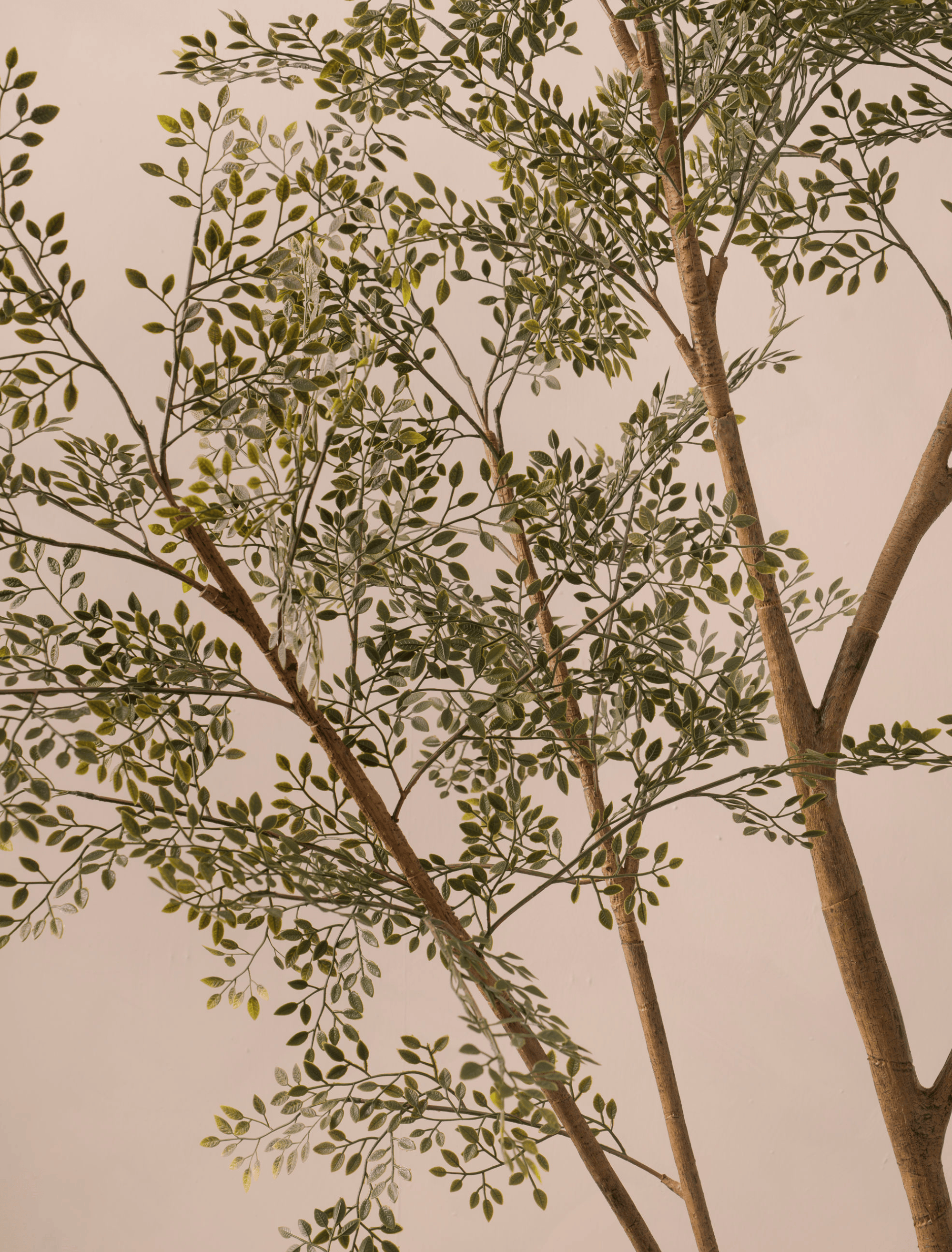 Faux Ruscus Tree (Indoor or Outdoor) 185cm / 6ft 1in