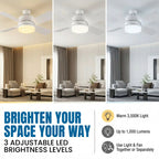 Remote Controlled Socket Ceiling Fan & Light