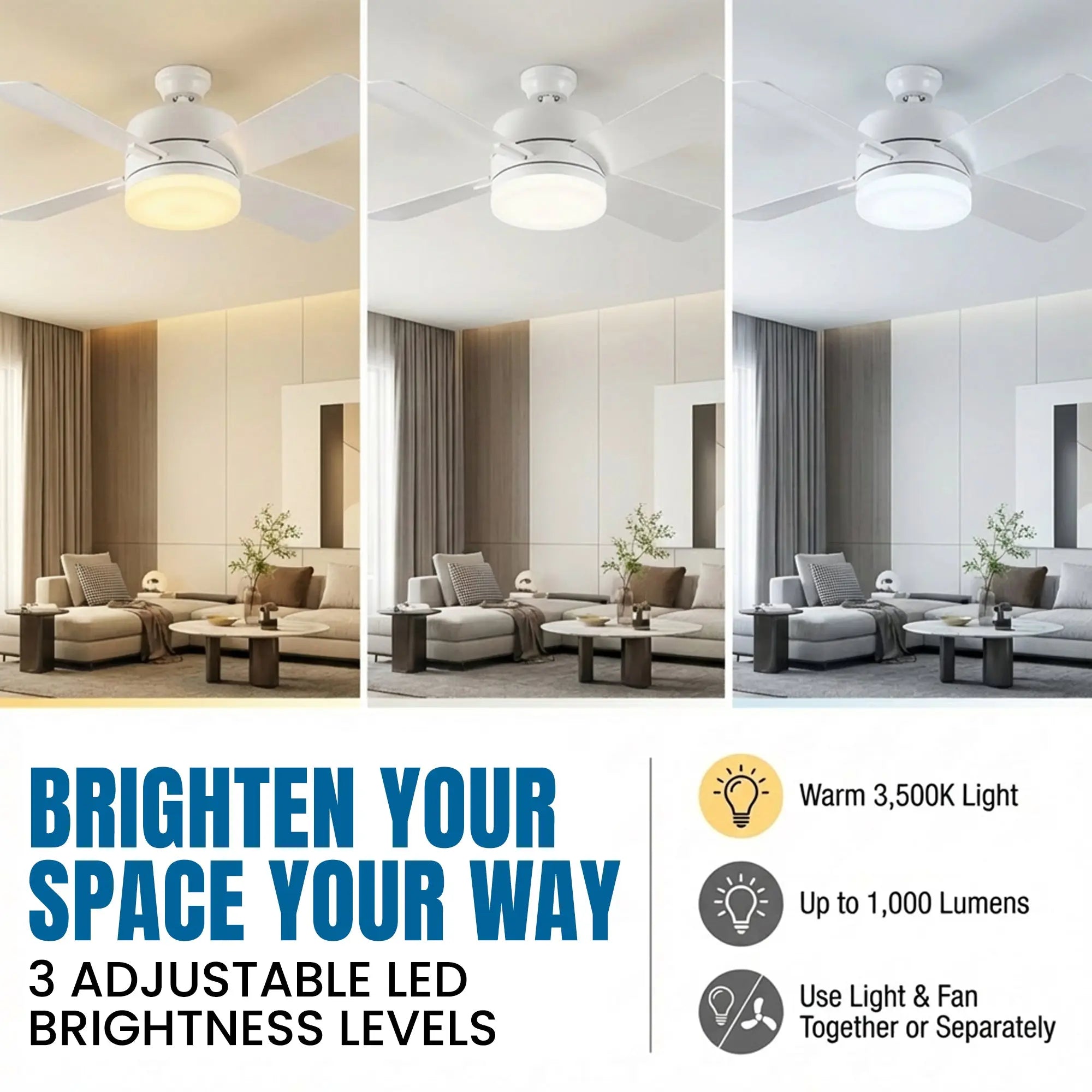 Remote Controlled Socket Ceiling Fan & Light